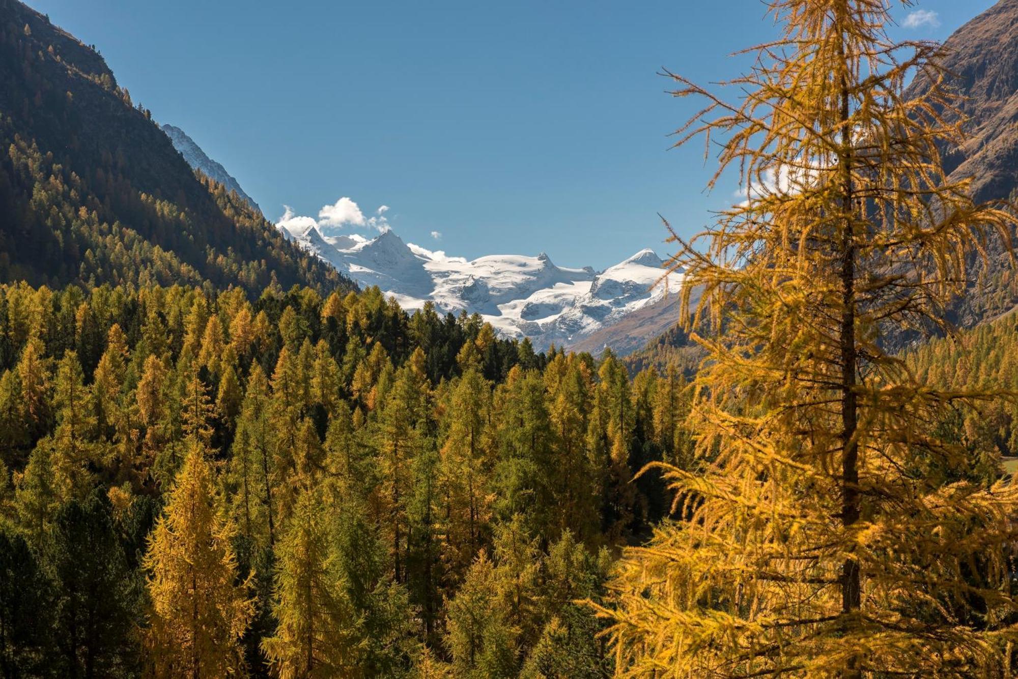 Hotel Saratz Pontresina Kültér fotó